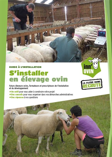 Suivez le guide s installer en élevage ovin Inn ovin