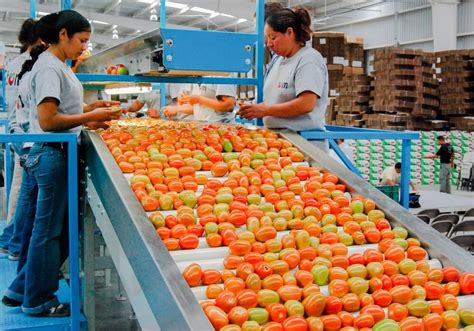 México registra el superávit agroalimentario más alto en 28 años