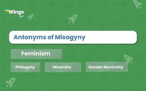 11 Antonyms Of Misogyny With Meaning And Examples Leverage Edu