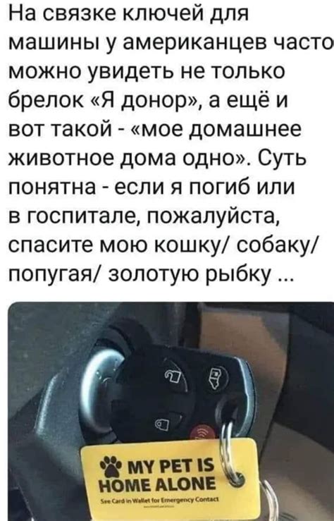 JoyReactor - смешные картинки и другие приколы: комиксы, гиф анимация ...