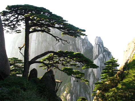 китай - Пошук Google | Chinese landscape, Huangshan mountains, Forest mural