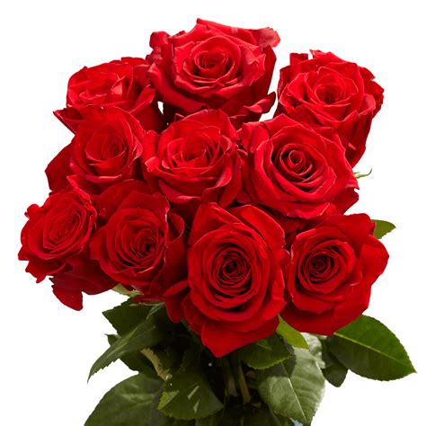 Red Roses Valentines Day Delivery Globalrose