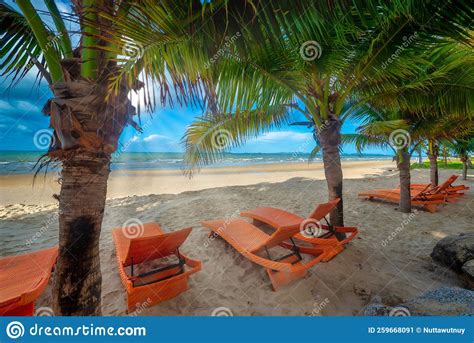 Beach Chairs And Coconut Palm Tree With Blue Sky Background On The