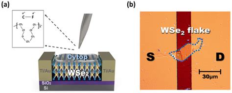 Polymers | Special Issue : Spectroelectrochemistry of Electroactive ...