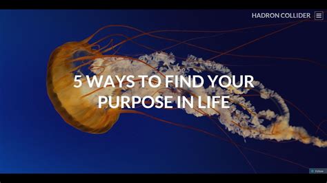 Day 1 How To Find Your Purpose In Life 5 Ways To Your True Purpose Life On Your Terms Day 1