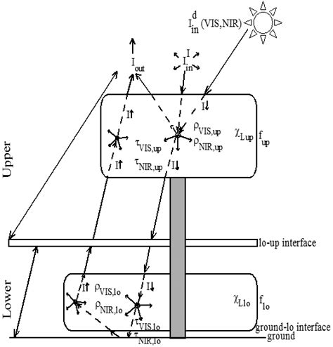 Schematic Representation Of The Radiative Transfer Model In Ibis Download Scientific Diagram