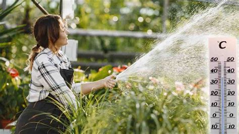 Questi Consigli Della Nonna Possono Salvare Il Vostro Giardino Dalle