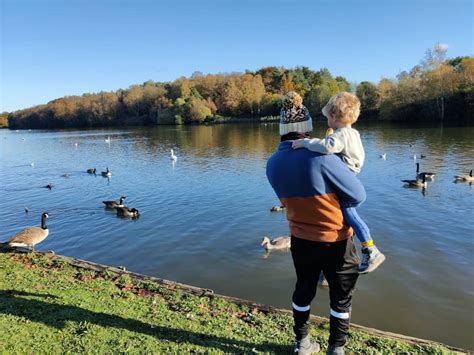 National Trust Locations For Families Review Things To Do