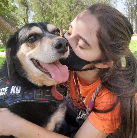 PERROS EN ADOPCIÓN ADOPCIONES CRC ÑUÑOA