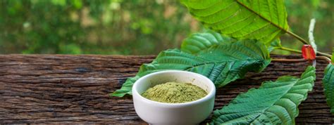 Kratom