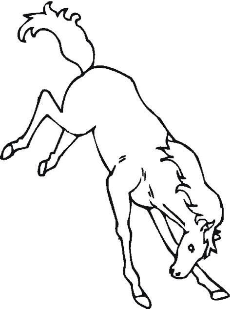 Bucking Horse Drawing at GetDrawings | Free download