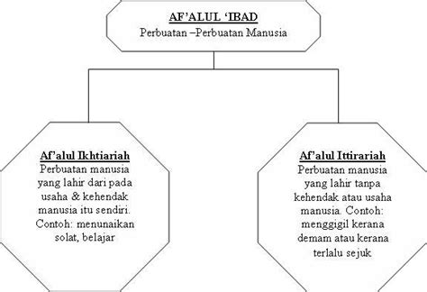 6 Perbedaan Qada Dan Qadar Beserta Contohnya Lengkap Images