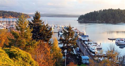 Relaxing Winter Escape To San Juan Island Kenmore Air