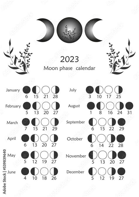 Vecteur Stock Lunar phase chart and cycles. Lunar calendar for 2023 ...