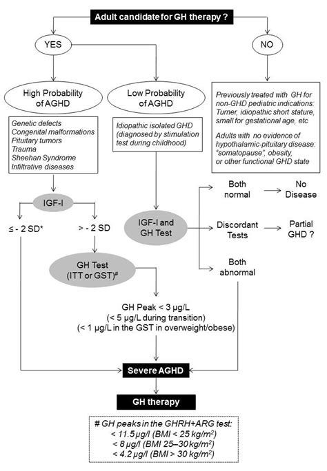 Growth Hormone Deficiency In Adults