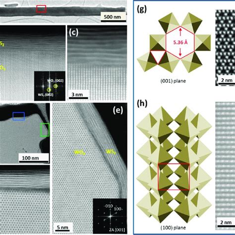 Schematic Illustration For One Body Array Of Coreshell Nanowire Download Scientific Diagram