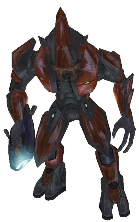 Elite Major Character Halopedia The Halo Wiki