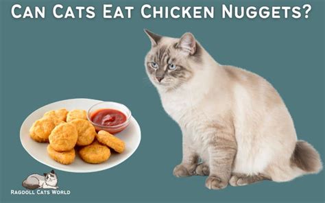 Can Cats Eat Chicken Nuggets