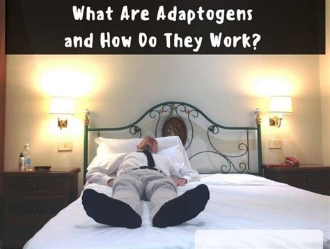 What Are Adaptogens And How Do They Work I Reveal All For Your