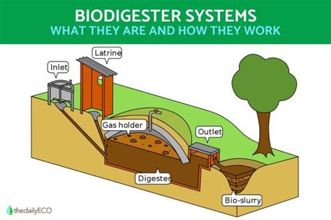 What Is A Biodigester And How Does It Work Biodigester System Explained