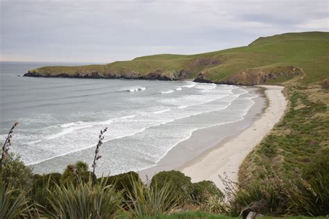 Otago Peninsula, NZ holiday accommodation from AU$ 82/night | Stayz