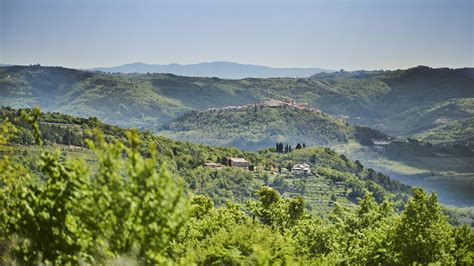 The story of Motovun - Villas Holiday