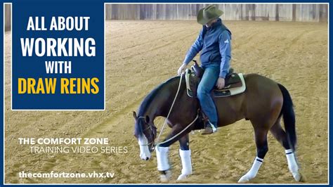 Working With Draw Reins Horse Training Pro The Comfort Zone Horse