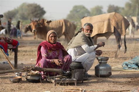 nagaur cattle fair rajasthan