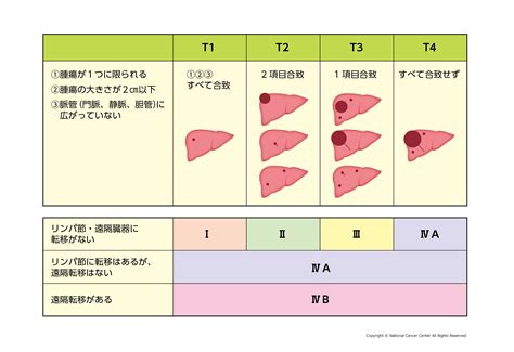 肝がんの検査・診断について｜国立がん研究センター