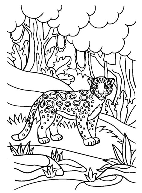 26 Pagine Da Colorare Di Giaguaro ColoringPagesOnly