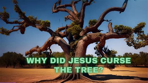 Why Did Jesus Curse The Fig Tree Unveiling The Biblical Truth Youtube