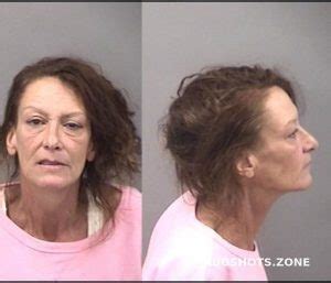 Peerbolte Lana H Kankakee County Mugshots Zone