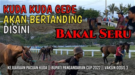 Kejuaraan Pacuan Kuda Bupati Pangandaran Cup Bakalan Seru Youtube