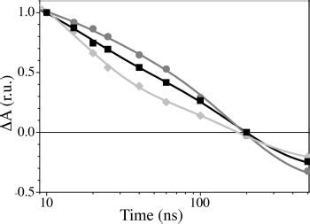 Decay Of Flash Induced Absorption Change At Nm Phq Shown As A