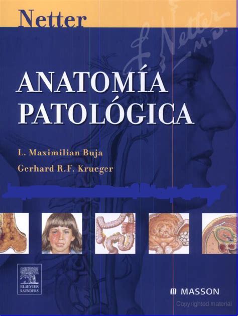 Libros De Medicina Pdf Anatomia Patologica De Netter