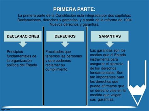 Cuadro De La Estructura De La Constitucion Nacional Xili