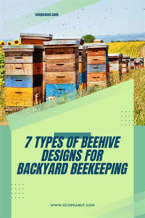 The Different Types Of Beehives For Your Backyard Artofit