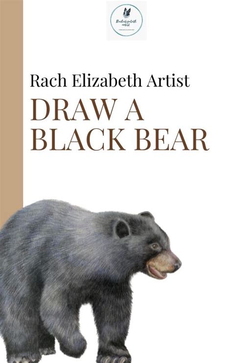 How to draw a Bear- Black Bear coloured pencil realism tutorial ...