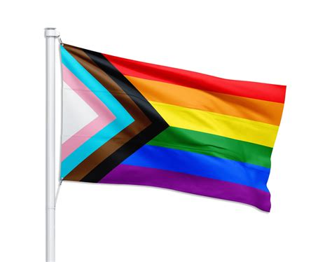 3 Feet By 5 Feet Daniel Quasar Nylon Pride Flag Progress Pride Parade