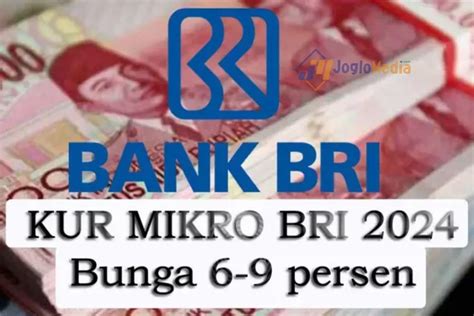 Mau Usaha Makin Maju Simak Tips Jitu Mendapatkan Kur Mikro Bri