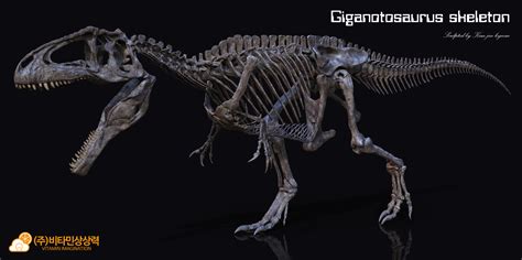 Giganotosaurus Skeleton