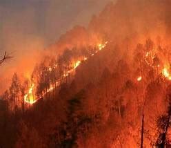 DICHIARAZIONE DELLO STATO DI GRAVE PERICOLOSITA PER GLI INCENDI