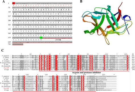 Nucleotide And Deduced Amino Acid Sequences Structure And Conserved