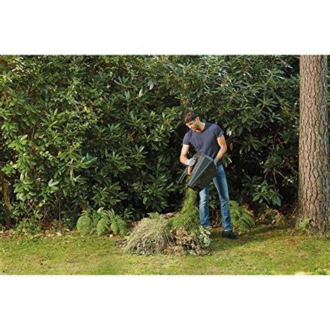 Black Decker Bemw Gl Avec Coupe Bordure Avis Du Scarificateur