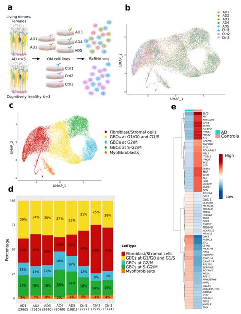 ScRNA Seq Data Revealed AD Specific Alterations In OM Cells A