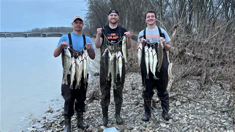 Maumee River Walleye Run April Th Youtube