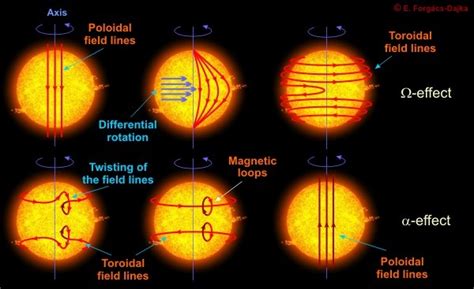 The Suns Magnetic Field Science News