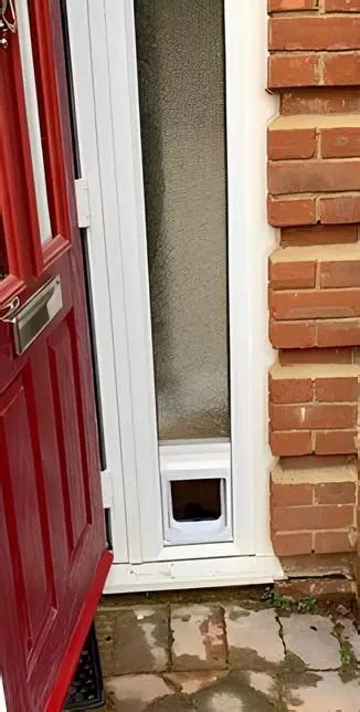 Cat Flaps For Walls Pet Door Installation Pet Flap Uk