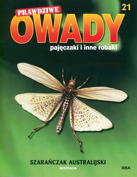 Prawdziwe Owady Paj Czaki I Inne Robaki Reedycja Hachette Polska Sp