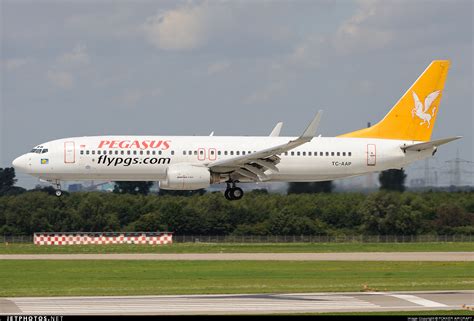 TC AAP Boeing 737 86N Pegasus Airlines FOKKER AIRCRAFT JetPhotos